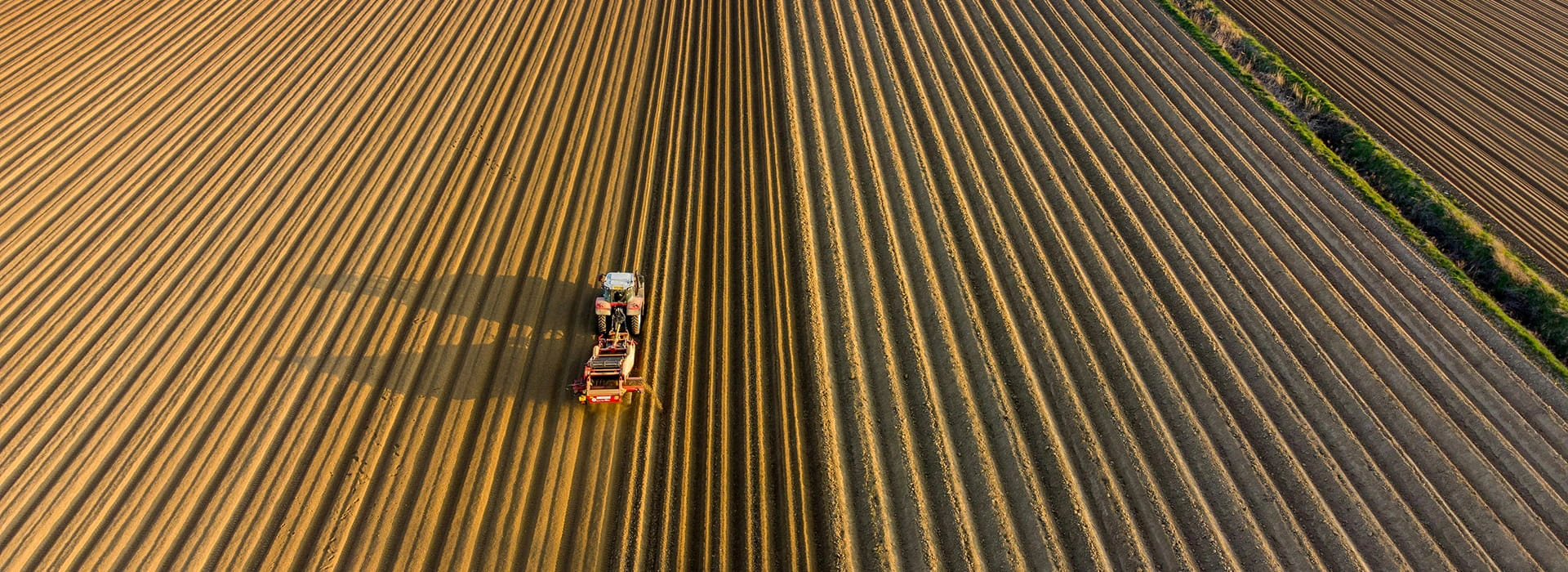 Аграрные компании