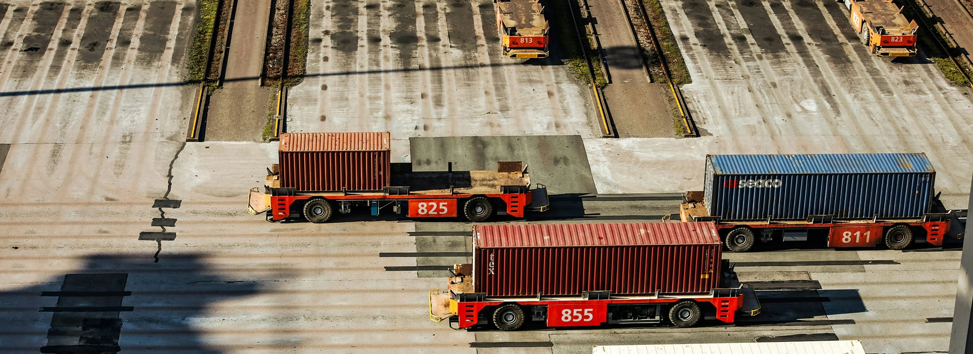 Дистрибьюция